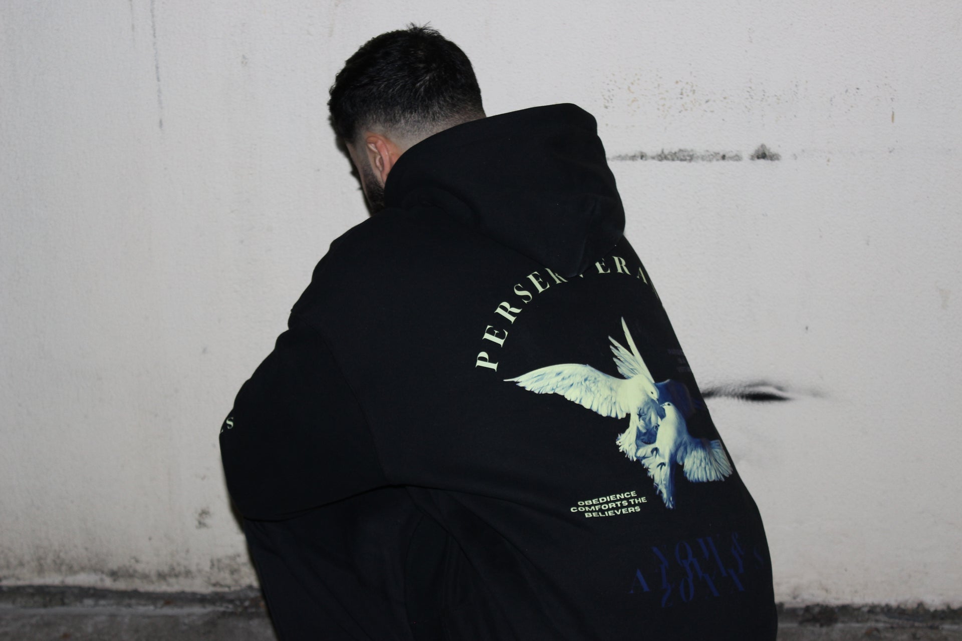 PERSEVERANCE HOODIE